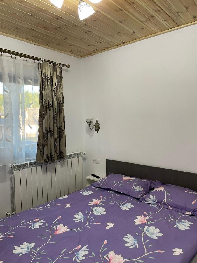 מלון סיגטו מרמטי Casa De Langa Padure מראה חיצוני תמונה